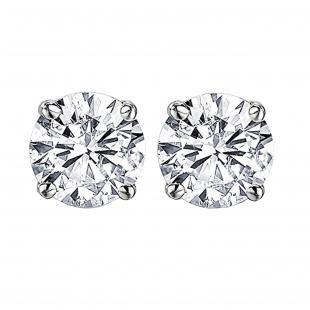 3.00 Carat (ctw) Round Moissanite Ladies Solitaire Fashion Stud Earrings 14K White Gold