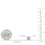 Princess & Round White Diamond Clusterd Screwback Stud Earrings for Women (0.25 ctw Color I-J Clarity I1-I2) in 14K White Gold