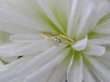 0.08 Carat (ctw) Round Lab Grown Diamond Ladies Rope Style Heart Promise Engagement Ring 10K Yellow Gold