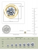 0.25 Cttw Round Lab Grown White Diamond Elegant Solitaire Bezel Set Screw Back Stud Earrings for Women in 14K Solid Yellow Gold