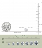 IGI Certified 2.00 Cttw Round Lab Grown Diamond Solitaire Stud Earrings for Women in 10K White Gold in Screw Back