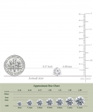 IGI Certified 2.50 Cttw Round Lab Grown Diamond Solitaire Stud Earrings for Women in 10K White Gold in Screw Back