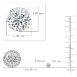 14K White Gold 4 Prong Solitaire Stud Earrings, IGI Certified 1.00 CT Round Lab Grown Diamond in Screw Back