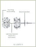 0.75 Cttw Oval Lab Grown Diamond Solitaire Stud Earrings for Women in 10K White Gold in Screw Back