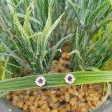 0.33 Carat (ctw) 10K White Gold Round Cut Ruby & White Diamond Round Shape Cluster Earrings 1/3 CT Look of 1 CT
