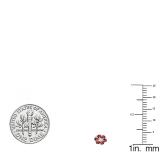 0.20 Carat (ctw) 10k White Gold Round Ruby & White Diamond Ladies Cluster Flower Earrings 1/5 CT