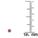 0.20 Carat (ctw) 14k White Gold Round Ruby Ladies Cluster Flower Earrings 1/5 CT
