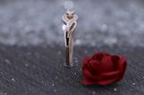 0.15 Carat (ctw) 18k Rose Gold Round Cut Diamond Ladies Engagement Bridal Promise Ring