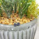 0.40 Carat (ctw) 14K White Gold Round Cut Blue Sapphire Ladies Cluster Flower Stud Earrings