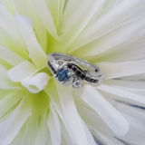 0.90 Carat (ctw) 10K White Gold Round Blue Black & White Diamond Ladies Swirl Bridal Engagement Ring Matching Band Set