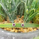 0.30 Carat (ctw) 14K White Gold Red Ruby & White Diamond Ladies Cluster Flower Stud Earrings 1/3 CT