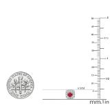 0.50 Carat (ctw) 10K White Gold Round Cut Ruby & White Diamond Ladies Square Frame Halo Stud Earrings 1/2 CT