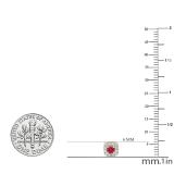 0.50 Carat (ctw) 18K Yellow Gold Round Cut Ruby & White Diamond Ladies Square Frame Halo Stud Earrings 1/2 CT