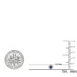 0.20 Carat (ctw) 10K White Gold Round Blue Sapphire & White Diamond Ladies Cluster Halo Style Stud Earrings 1/5 CT