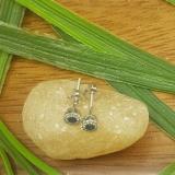0.20 Carat (ctw) 10K White Gold Round Blue Sapphire & White Diamond Ladies Cluster Halo Style Stud Earrings 1/5 CT