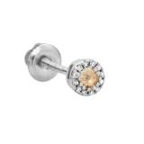 0.10 Carat (ctw) 10K White Gold Round Champagne & White Diamond Ladies Cluster Halo Style Stud Earring(1PC)