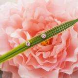0.20 Carat (ctw) 10K Rose Gold Round Pink Sapphire & White Diamond Ladies Cluster Halo Style Stud Earrings 1/5 CT