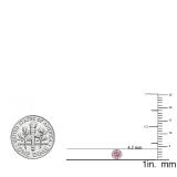 0.20 Carat (ctw) 14K Rose Gold Round Pink Sapphire & White Diamond Ladies Cluster Halo Style Stud Earrings 1/5 CT