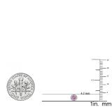 0.20 Carat (ctw) 14K White Gold Round Pink Sapphire & White Diamond Ladies Cluster Halo Style Stud Earrings 1/5 CT