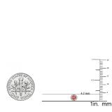 0.20 Carat (ctw) 14K Rose Gold Round Ruby & White Diamond Ladies Cluster Halo Style Stud Earrings 1/5 CT