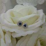 0.75 Carat (ctw) Sterling Silver Round Cut Blue Sapphire & White Diamond Ladies Halo Stud Earrings 3/4 CT