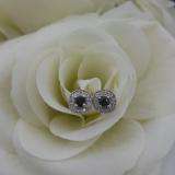 0.75 Carat (ctw) 10K White Gold Round Cut Black & White Diamond Ladies Halo Stud Earrings 3/4 CT