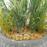 2.80 Carat (ctw) 14K White Gold Cushion Cut Citrine & Round Cut White Diamond Ladies Square Frame Halo Stud Earrings