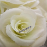 0.33 Carat (ctw) 14K White Gold Round Tanzanite & White Diamond Anniversary Stackable Wedding Band 1/3 CT