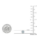 0.45 Carat (ctw) 10K White Gold Round Cut Aquamarine & White Diamond Ladies Halo Style Stud Earrings 1/2 CT