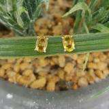 1.00 Carat (Ctw) Sterling Silver Oval Cut Citrine Ladies Solitaire Stud Earrings 1 CT