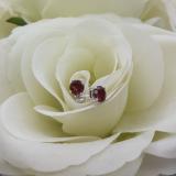 1.00 Carat (Ctw) Sterling Silver Round Cut Garnet Ladies Solitaire Stud Earrings 1 CT