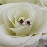1.00 Carat (Ctw) Sterling Silver Round Cut Garnet Ladies Solitaire Stud Earrings 1 CT