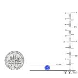 1.00 Carat (ctw) 14K White Gold Round Cut Tanzanite Ladies Solitaire Stud Earrings 1 CT