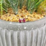 1.00 Carat (ctw) 10K White Gold Pear Cut Ruby Ladies Solitaire Stud Earrings 1 CT