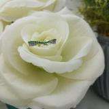 0.36 Carat (ctw) 14K White Gold Round Tsavorite & White Diamond Ladies Anniversary Wedding Band Stackable Ring 1/3 CT