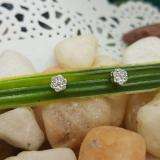 0.15 Carat (ctw) 10k White Gold Round White Diamond Ladies Cluster Flower Earrings