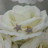 0.25 Carat (ctw) 10k Yellow Gold Brilliant White Diamond Ladies Micro Pave Star Shape Earrings