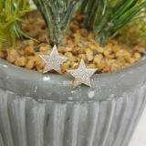 0.25 Carat (ctw) 10k Yellow Gold Brilliant White Diamond Ladies Micro Pave Star Shape Earrings