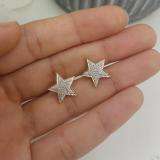 0.25 Carat (ctw) 10k Yellow Gold Brilliant White Diamond Ladies Micro Pave Star Shape Earrings