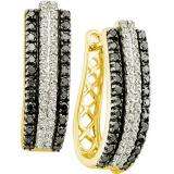 1.03 Carat (ctw) 14k Yellow Gold Round Black & White Diamond Ladies Fashion Hoops Earrings