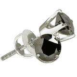 0.25 Carat (ctw) 14k White Gold Round Black Diamond Ladies Stud Earrings