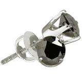 0.50 Carat (ctw) 14k White Gold Black Diamond Ladies Stud Earrings
