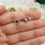 0.25 Carat (ctw) 10k White Gold Blue & White Diamond Ladies Cluster Earrings