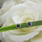 0.25 Carat (ctw) 10k White Gold Blue & White Diamond Ladies Cluster Earrings
