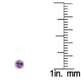 1.00 Carat (ctw) 14K White Gold Round Purple Amethyst & White Diamond Ladies Halo Style Stud Earrings 1 CT