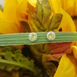 0.50 Carat (ctw) 14K White Gold Round Green Peridot & White Diamond Ladies Halo Style Stud Earrings 1/2 CT