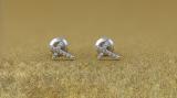 Round White Diamond Gothic Cross Stud Earrings for Women in 10K White Gold (0.05 ctw, Color I-J, Clarity I2-I3) in Screw Back
