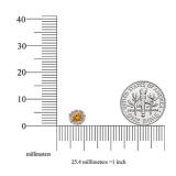0.75 Carat (ctw) 10K White Gold Round Citrine & White Diamond Ladies Halo Style Stud Earrings 3/4 CT