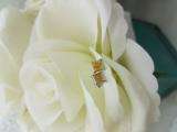 0.10 Carat (ctw) Sterling Silver Yellow Round Diamond Micro Pave Setting Kite Shape Stud Earrings