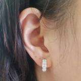 0.15 Carat (ctw) Sterling Silver Round White Diamond Ladies Hoop Earrings
